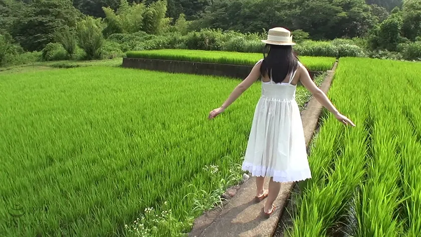 【ジャケット】夏の田舎 あべみかこ 003IBWX-646ZA