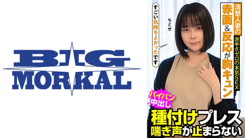 【ジャケット】清楚人妻の赤面&反応が胸キュン 派手さゼロの本気SEX 種付けプレス 喘ぎ声が止まらない ちとせ 工藤ちとせ 022JKSR-47703