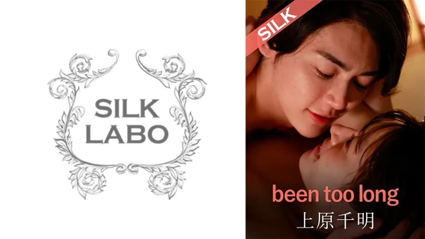 【ジャケット】been too long 藤井レイラ 上原千明 220SILK-19502